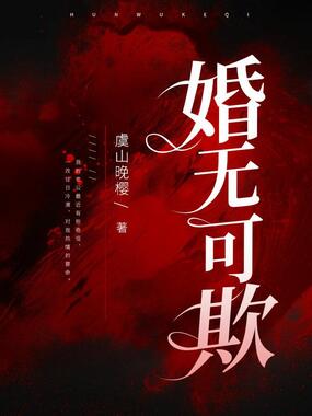 婚无可欺在线阅读