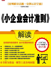 《小企業(yè)會計準(zhǔn)則》解讀