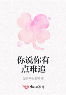 你說你有點難追