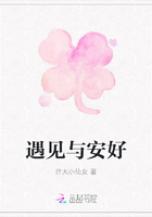 遇見與安好在線閱讀