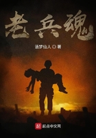 老兵魂在線閱讀
