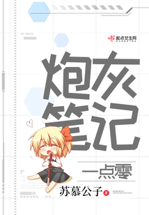 炮灰筆記一點零