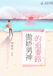 傲嬌男神的追妻路