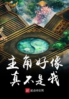 主角好像真不是我在線閱讀