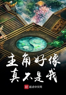 主角好像真不是我