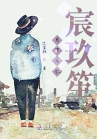 月下离歌宸玖笙在线阅读