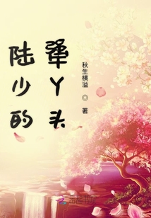 陸少的犟丫頭