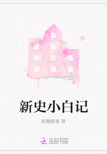 新史小白記