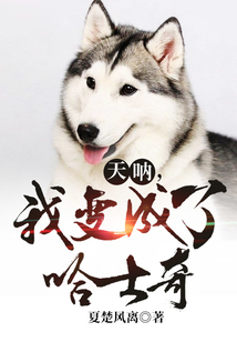 天呐,我变成了哈士奇! cover