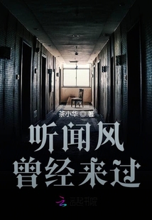 聽聞風曾經來過