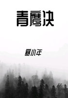 青鷹決在線閱讀