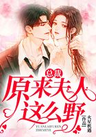 总裁,原来夫人这么野!