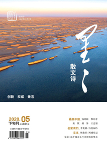 星星·散文詩（2020年第5期）