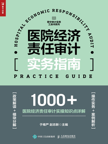 醫院經濟責任審計實務指南