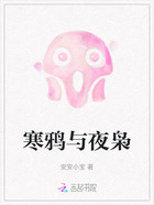 寒鸦与夜枭在线阅读