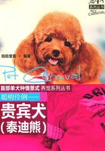 聰明伶俐：貴賓犬