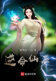 逆命仙石