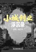 小城创业浮沉录（南瓜屋故事）在线阅读