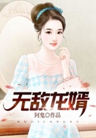 无敌龙婿在线阅读