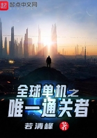 全球单机之唯一通关者