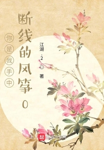 你是我手中斷線的風箏0