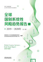 2019—2020年全球国别系统性风险趋势报告3