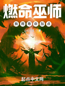 燃命巫師，我用壽命加點