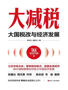 大减税:大国税改与经济发展在线阅读