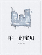唯一的寶貝在線閱讀