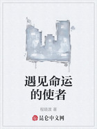 遇见命运的使者在线阅读