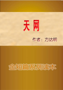 天网