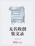 無名收創(chuàng)集文錄在線閱讀