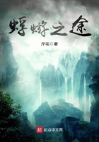 蜉蝣之途在線閱讀