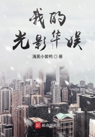 我的光影華娛在線閱讀