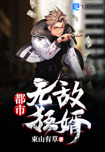 都市無敵狂婿