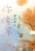 你像深夜的萤火在线阅读