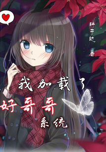 我加載了好哥哥系統(tǒng)