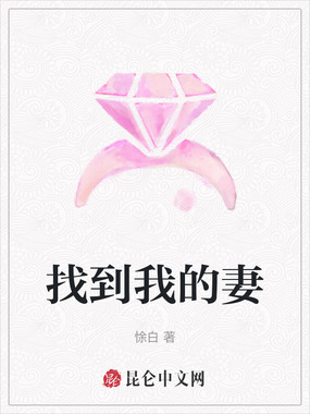 找到我的妻在线阅读