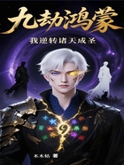 九劫鸿蒙：我逆转诸天成圣在线阅读