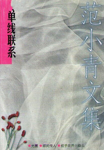 范小青文集2：單線聯系