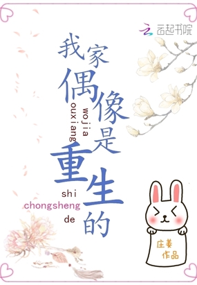 我家偶像是重生的在线阅读