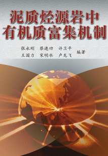 泥質(zhì)烴源巖中有機質(zhì)富集機制