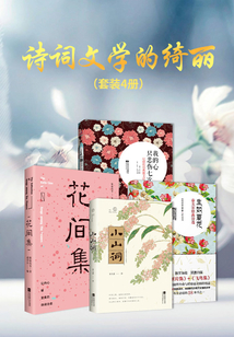 詩(shī)詞文學(xué)的綺麗(套裝四冊(cè))