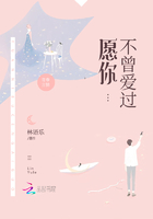 愿你不曾愛過在線閱讀