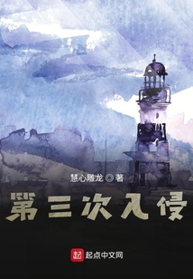 第三次入侵