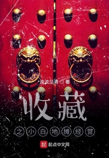 收藏之小白地攤經營