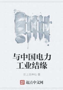 与中国电力工业结缘
