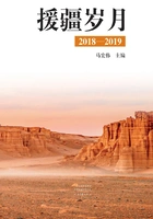 援疆岁月:2018-2019在线阅读