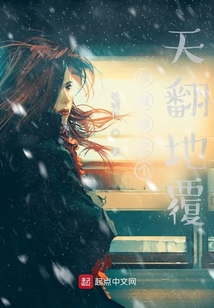 菜鳥為王