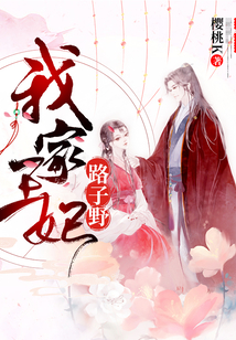 我家王妃路子野